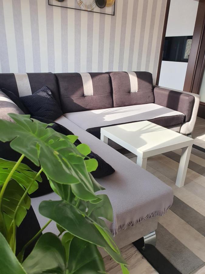 Spoldzielcza 22 Apartament Sky Line Kłodzko Exteriör bild